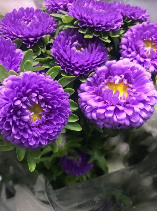 Floral arrangements