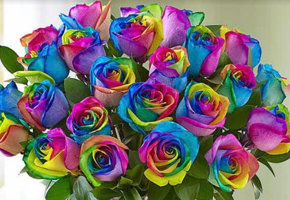 RAINBOW FLOWERS