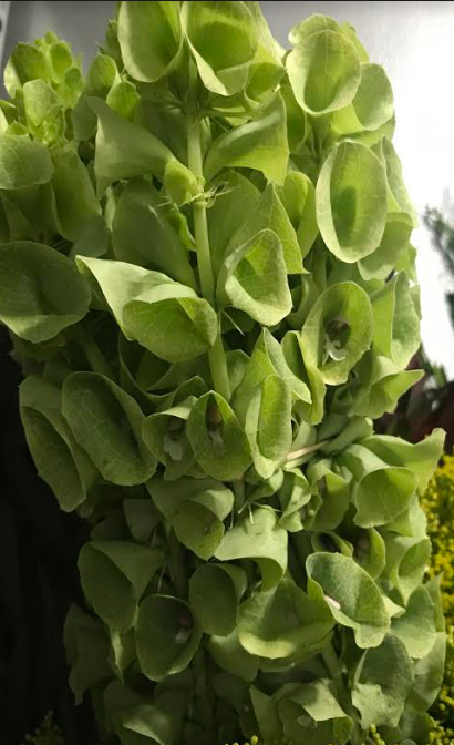 Corporate event flowers