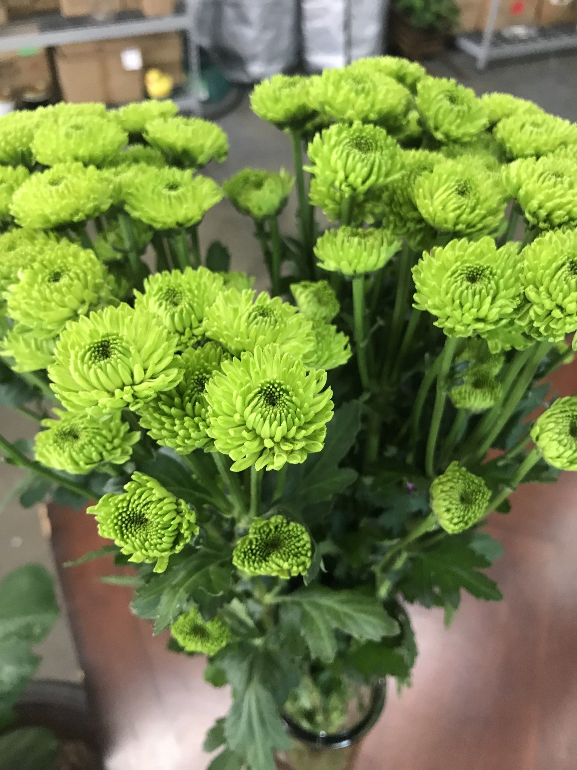 Floral arrangements