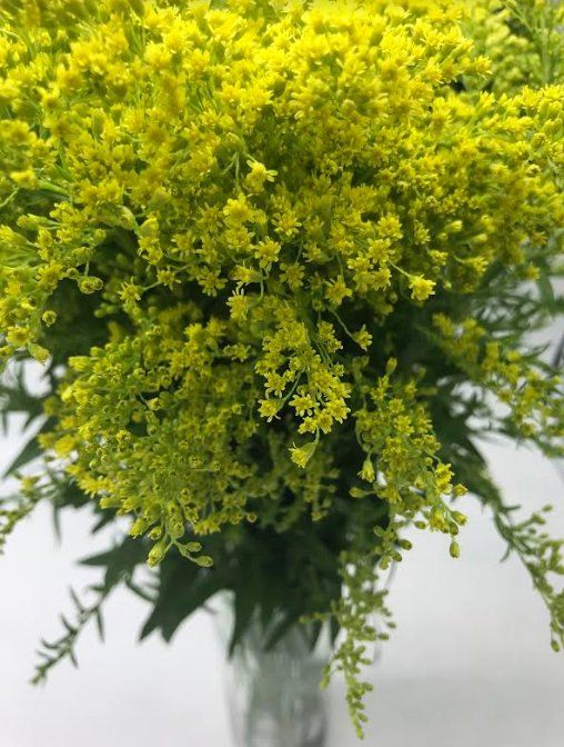 Corporate event flowers