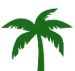 Green palm tree silhouette on a white background