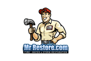 Smiling man with hammer in hand,