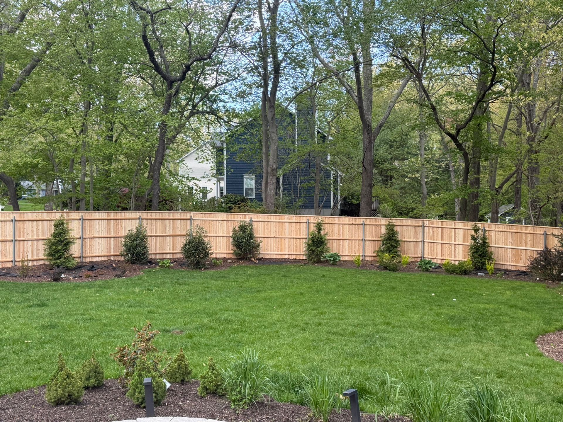 Backyard with green lawn, young trees, and a light wooden fence in front of a house.