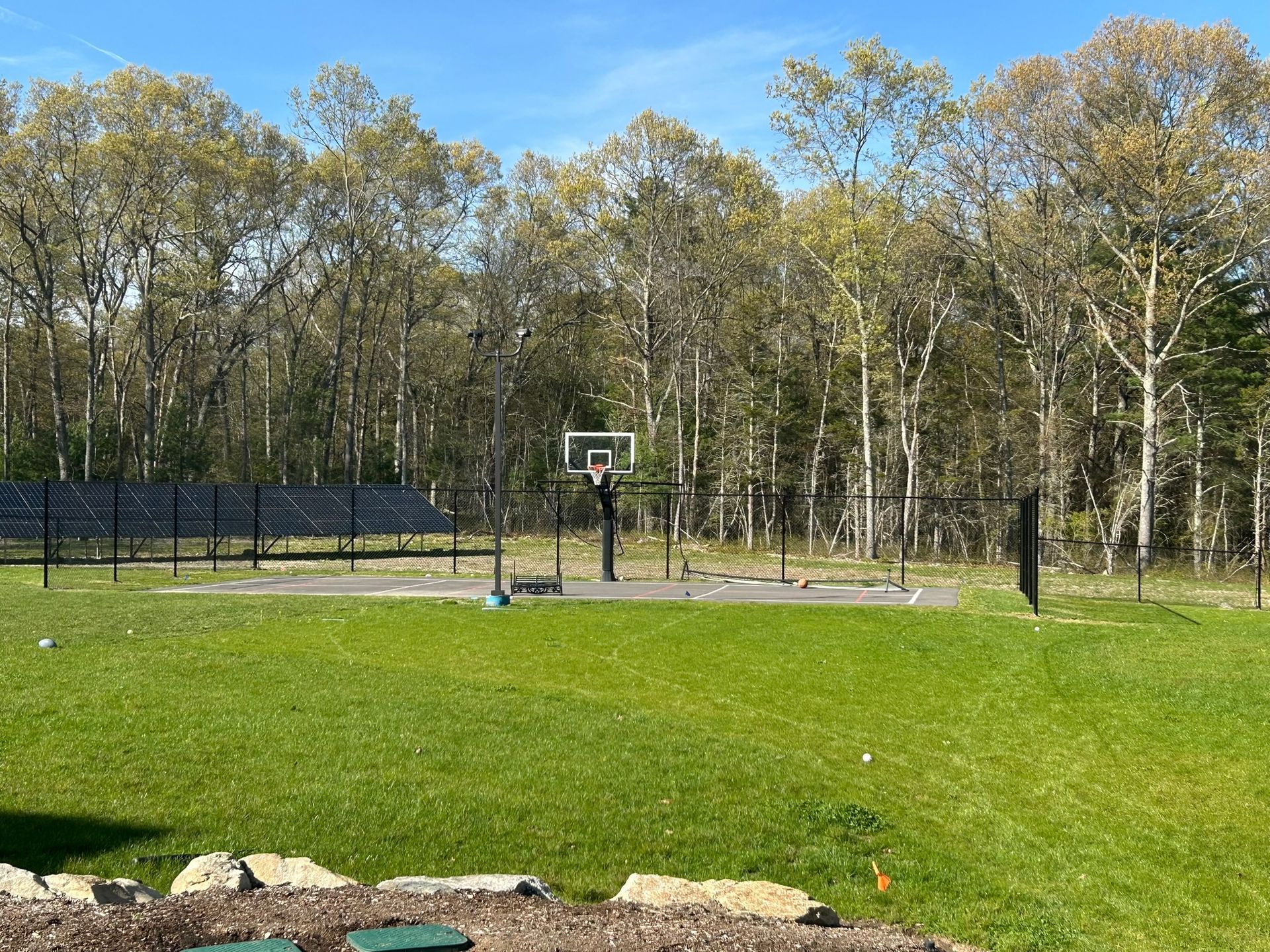 Grassy park with a basketball hoop, black fence, and trees in the background