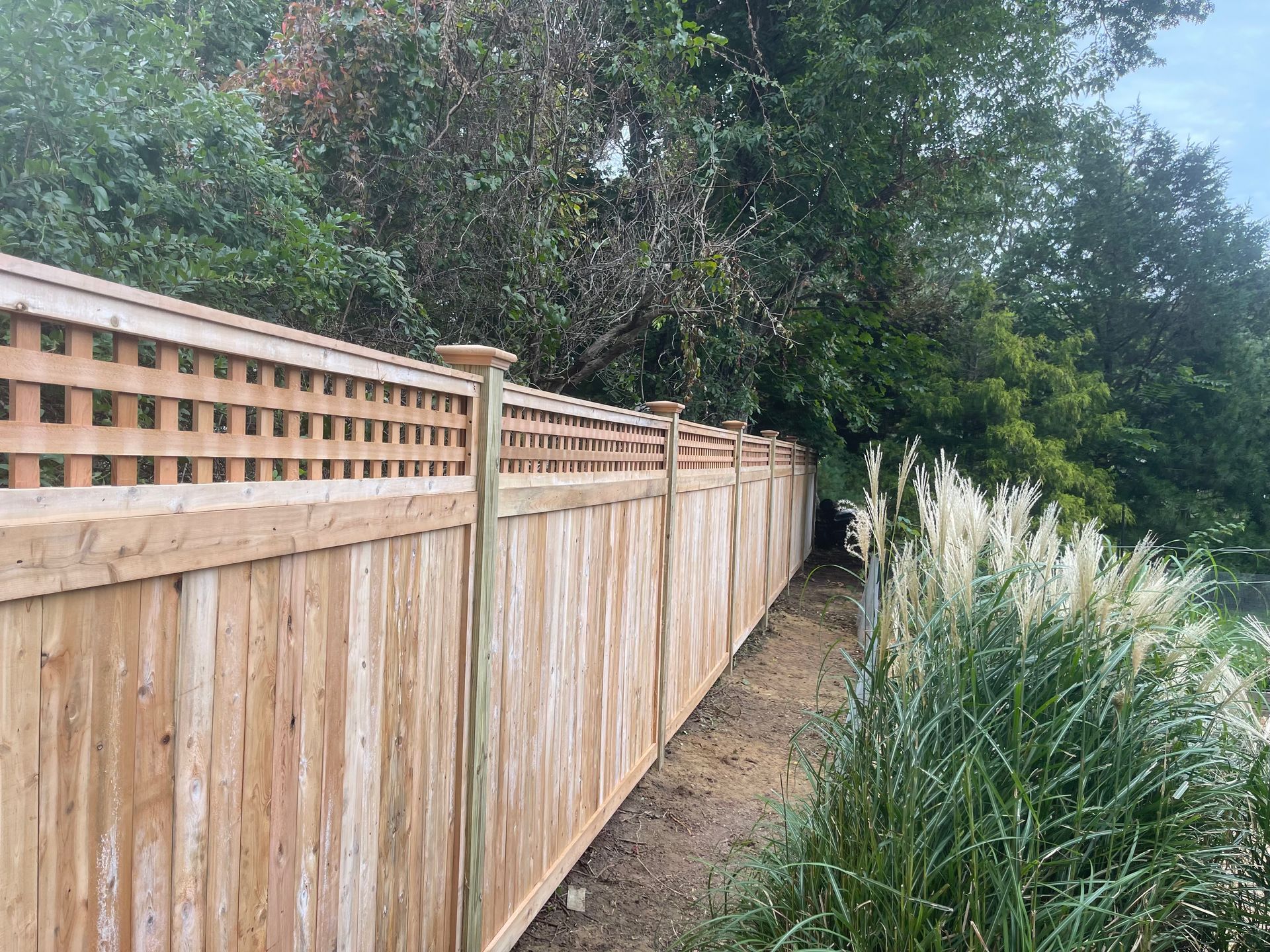 A wooden fence is surrounded by tall grass and trees.