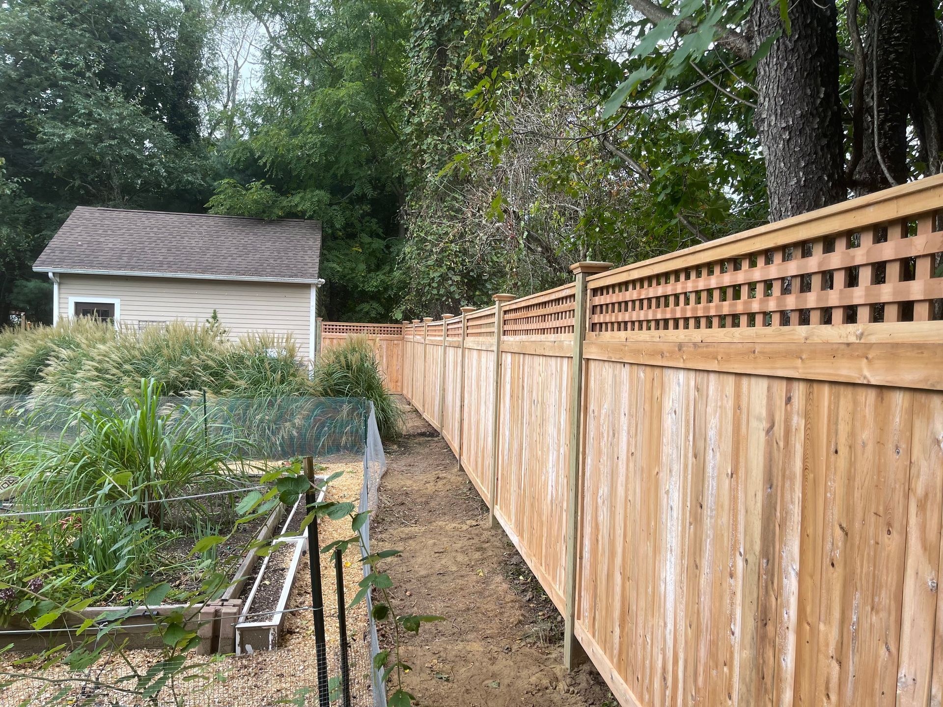 A wooden fence surrounds a garden with a shed in the background.