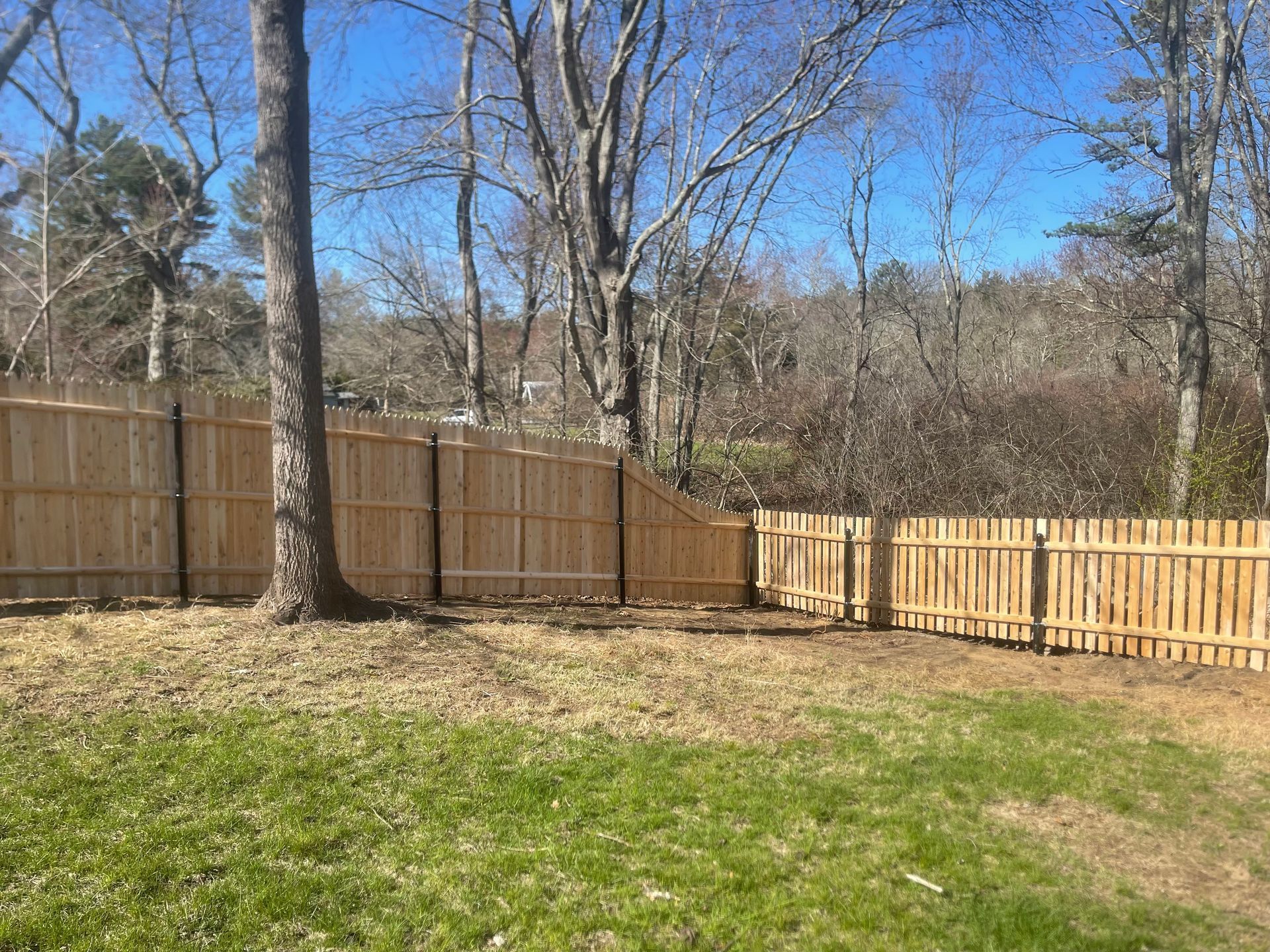 A wooden fence surrounds a lush green yard with trees in the background.