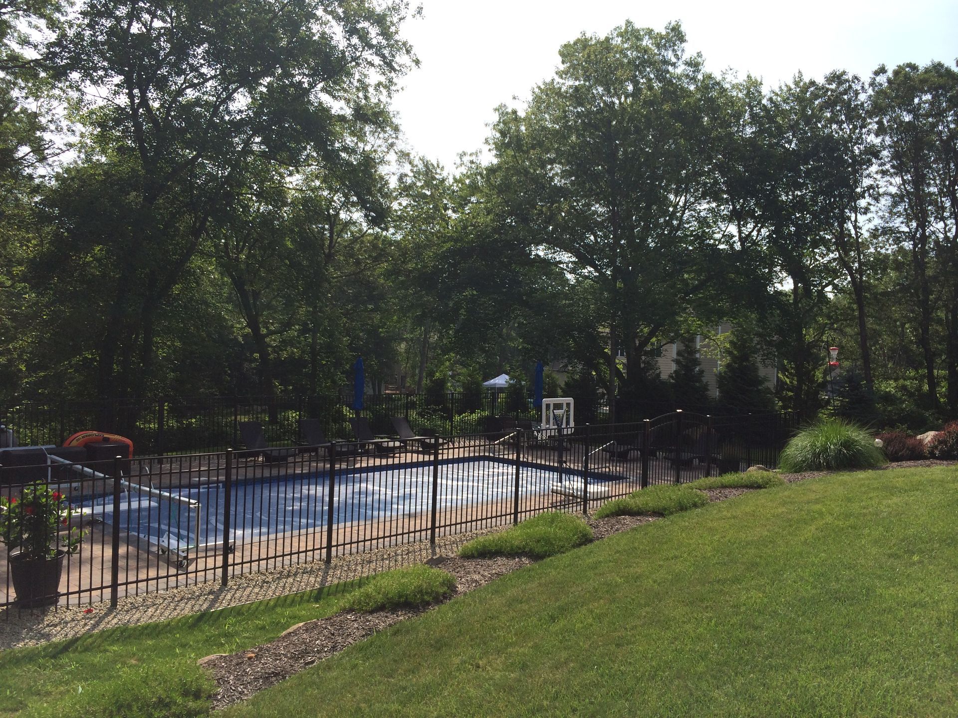 A large swimming pool is surrounded by a fence and trees