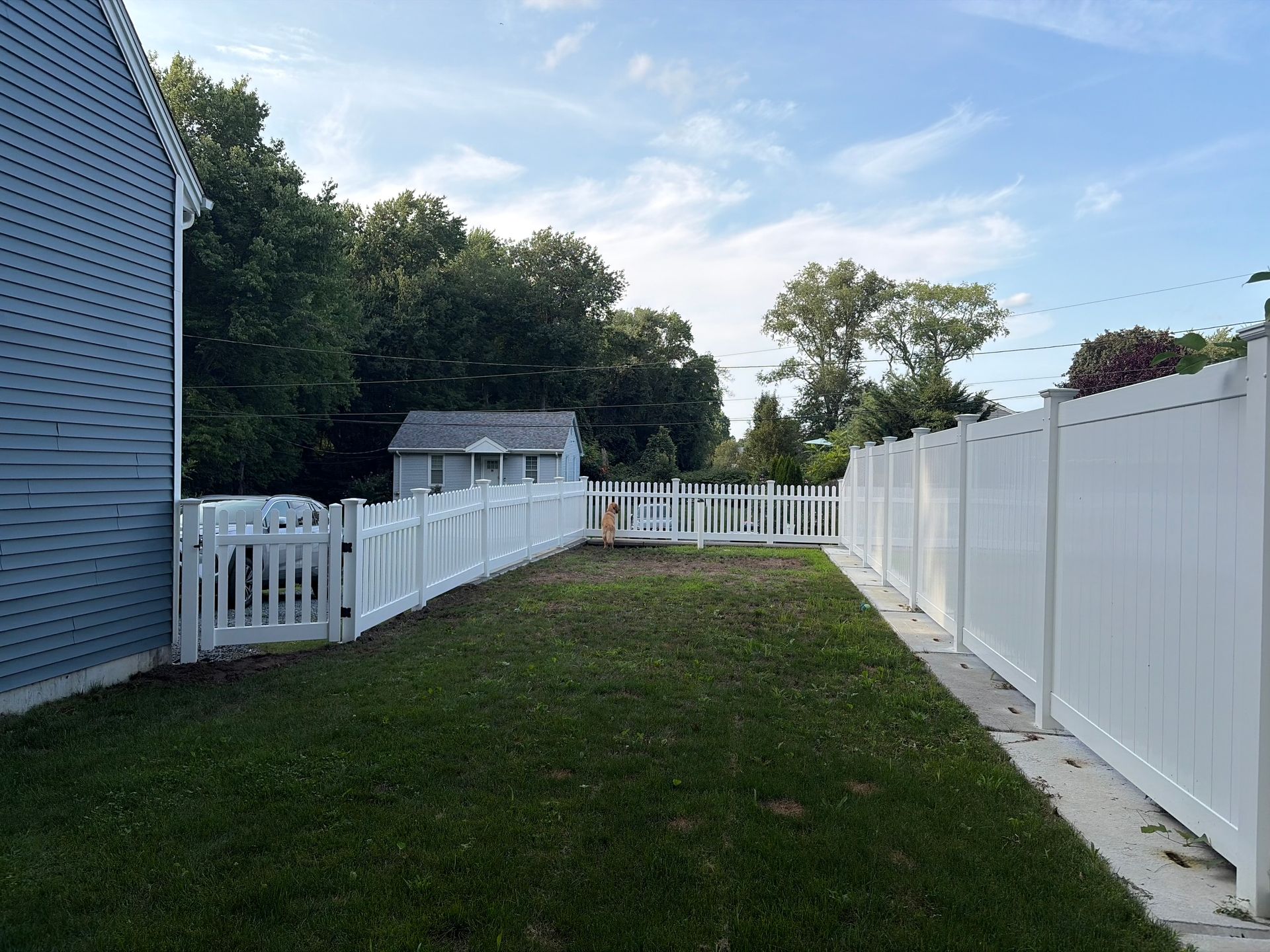 Backyard with green lawn, white fences, and a blue house under a clear sky