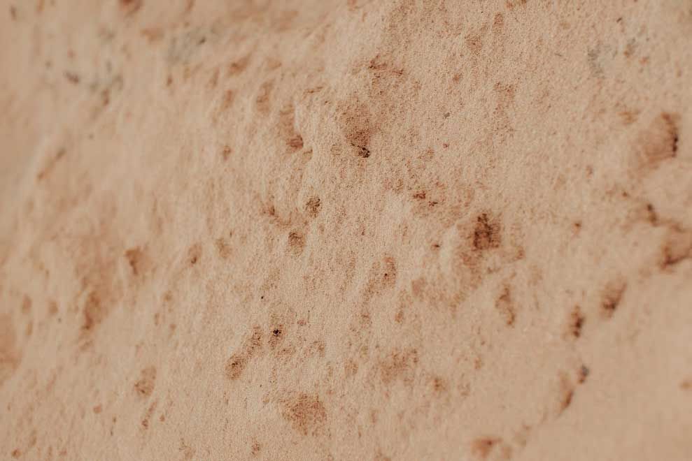 Close-up view of a light-brown, textured surface with scattered dark brown spots.