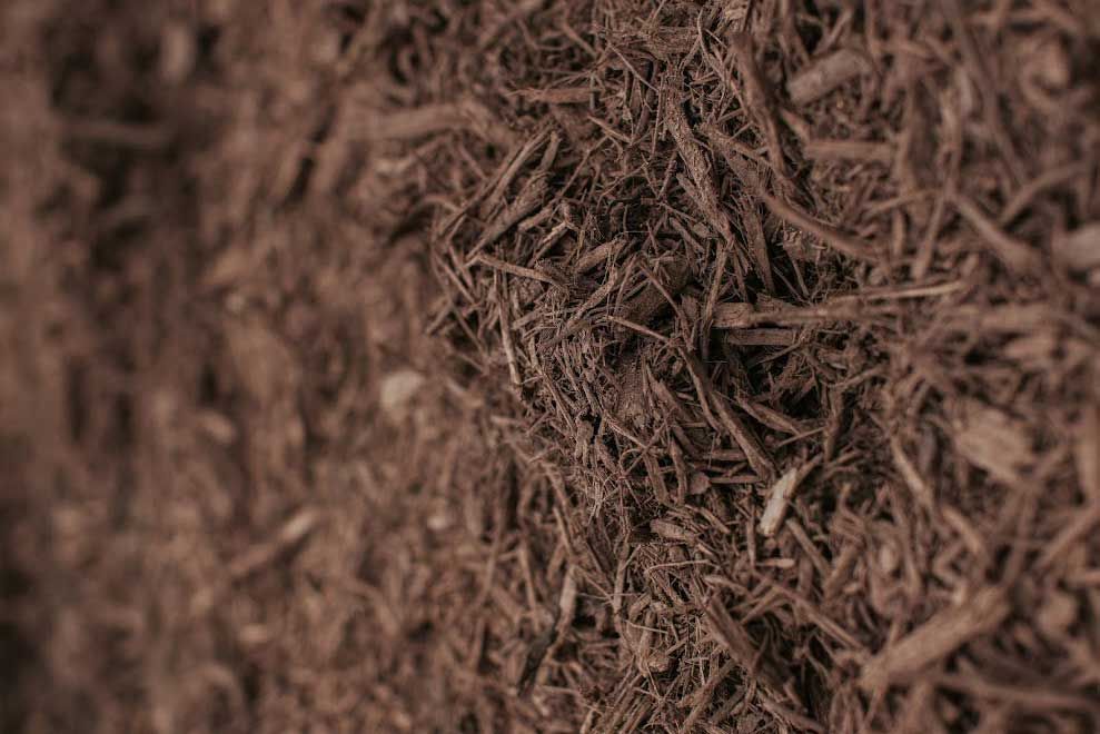 Close-up of brown mulch with shredded wood pieces.