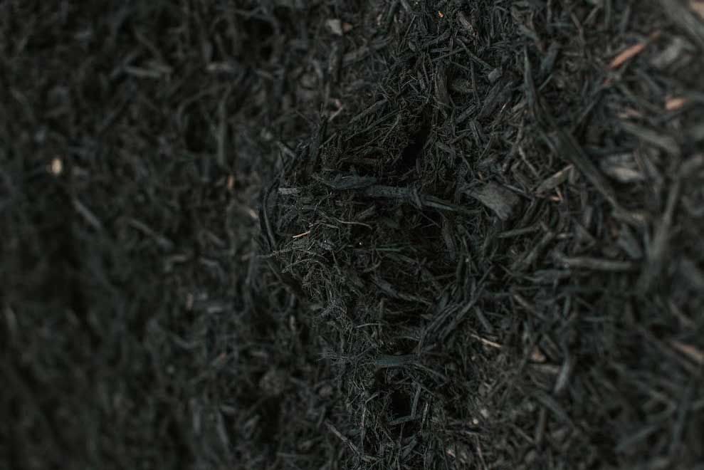 Black shredded mulch, close-up, covering a ground surface.