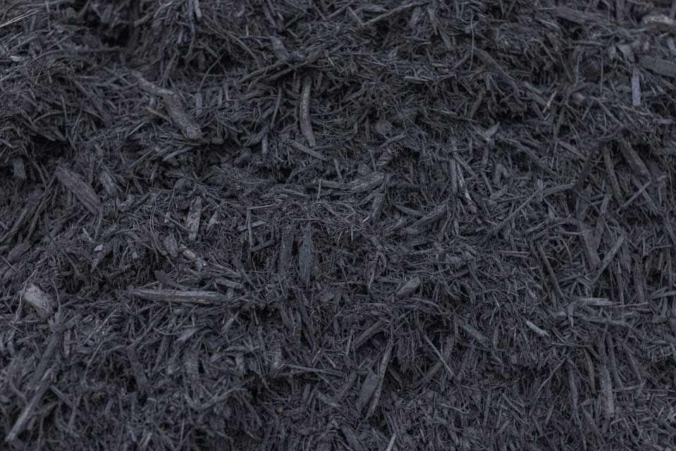 Black mulch, made of shredded wood, fills the frame.