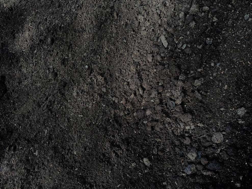 Dark, textured soil with scattered rocks.