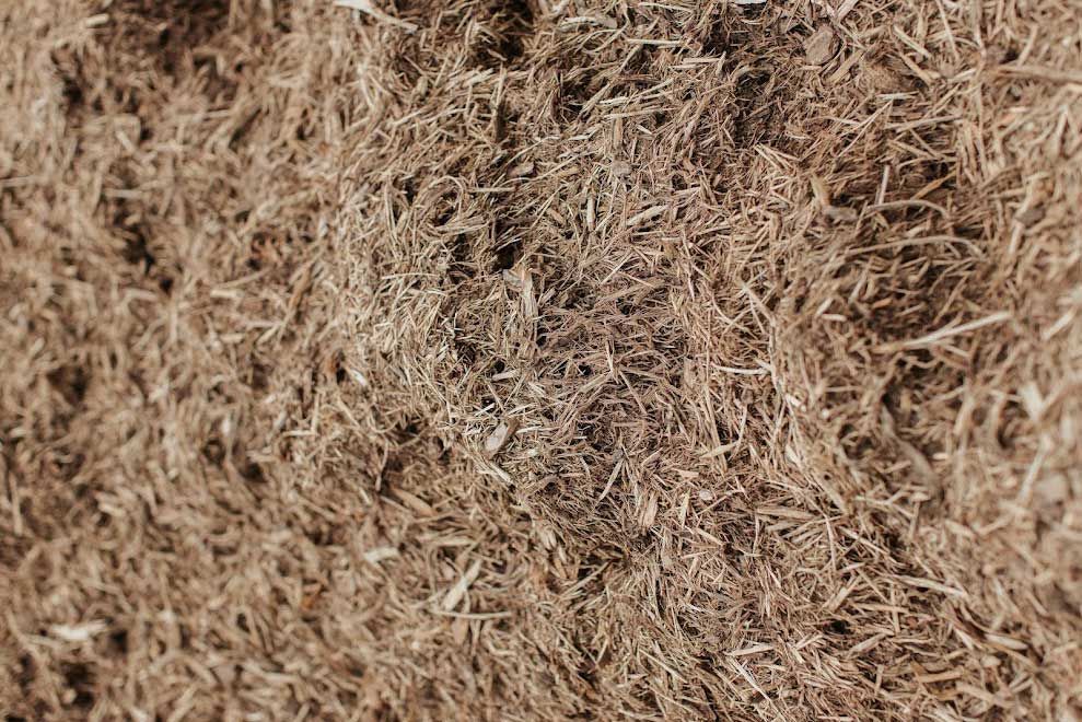 Brown shredded mulch, a close-up texture.