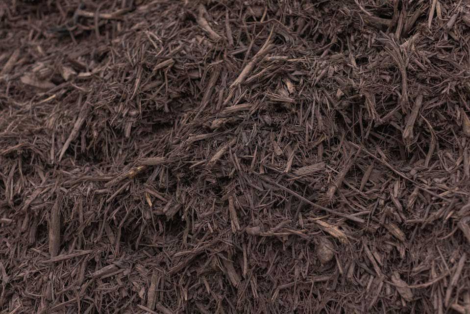 Dark brown shredded wood mulch, close-up texture.