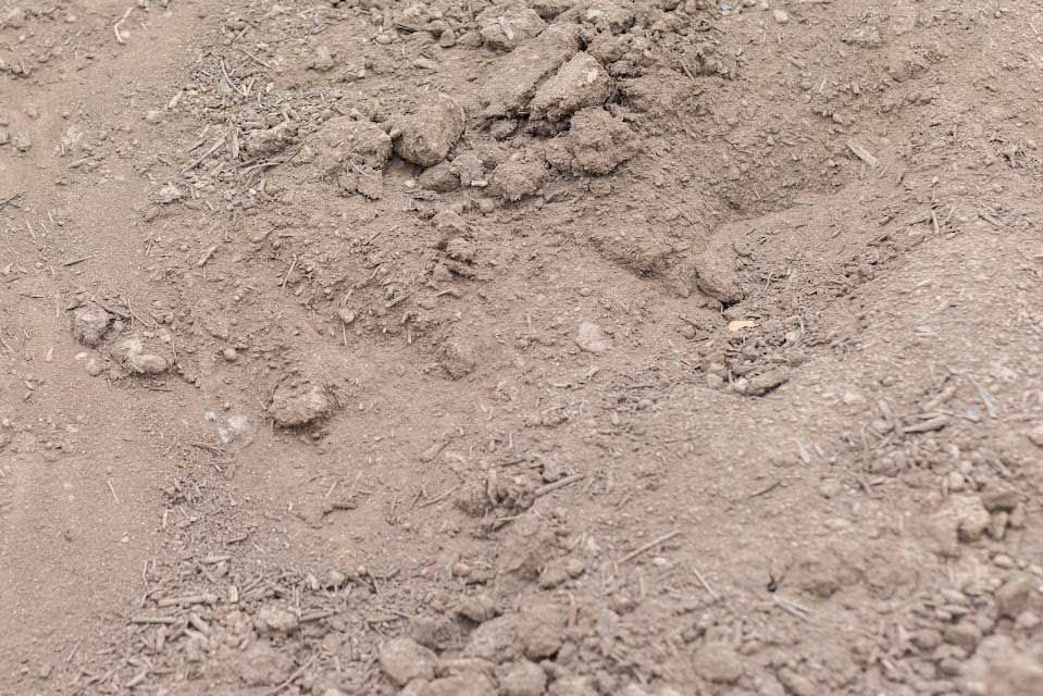 Brown soil close-up, with visible clumps and granular texture.