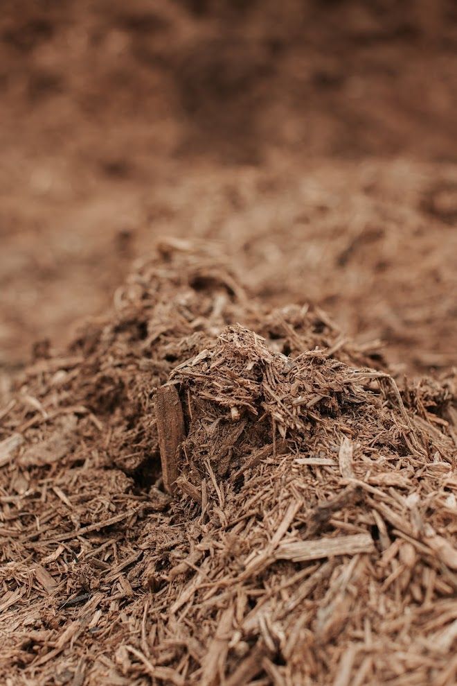 Brown mulch, finely shredded, piled up close with a blurry background.