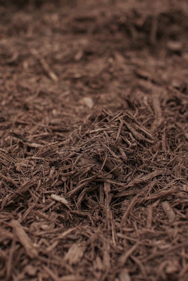 Brown shredded wood mulch.