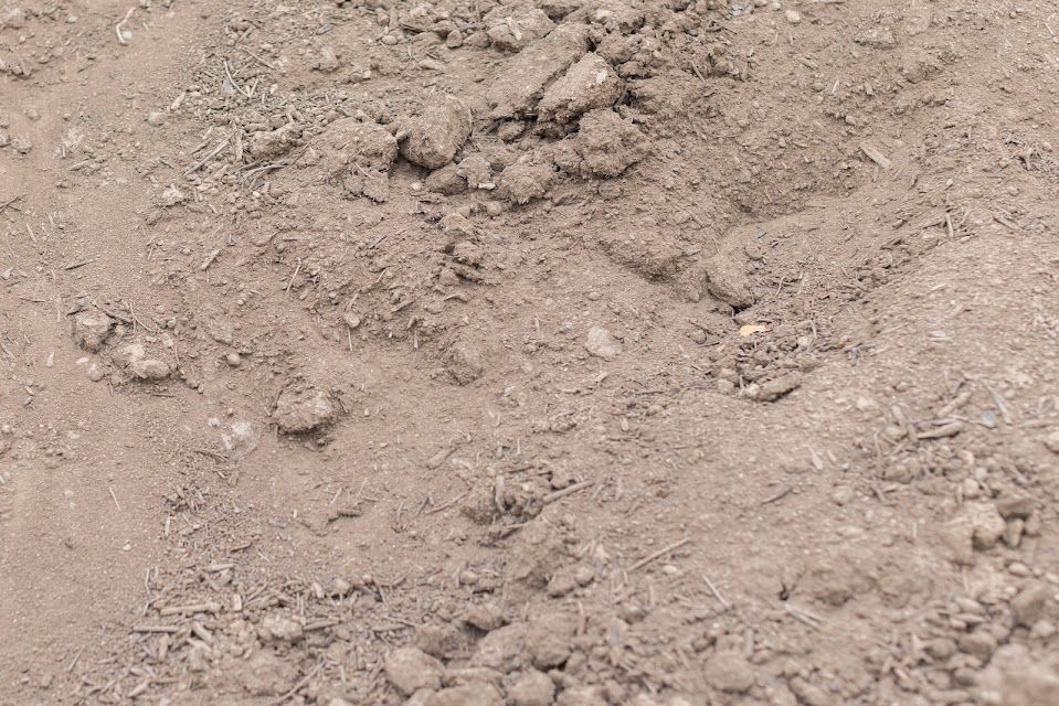Close-up of brown soil with small clumps and a slightly textured surface.