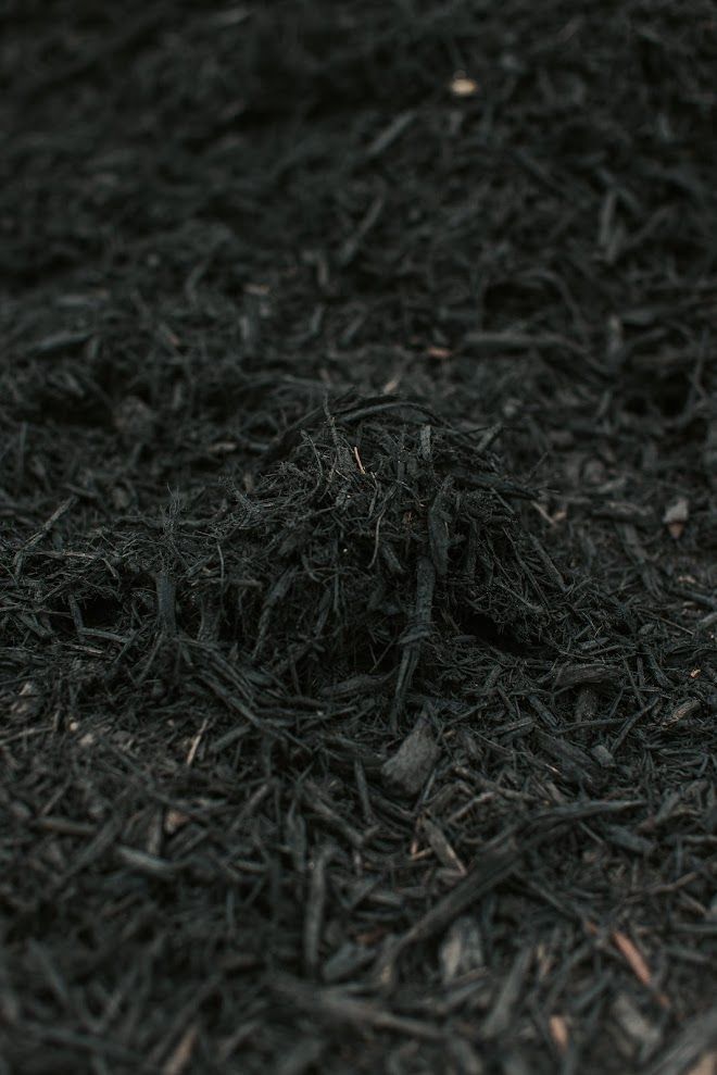 Black shredded mulch, close-up.