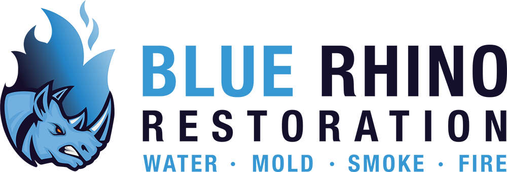 Blue Rhino Restoration - Logo