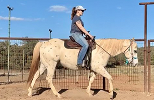 A woman is riding a horse in a fenced in area.