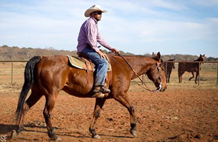 A man in a cowboy hat is riding a brown horse