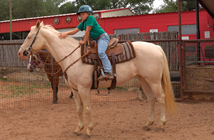A boy in a green shirt is riding a white horse