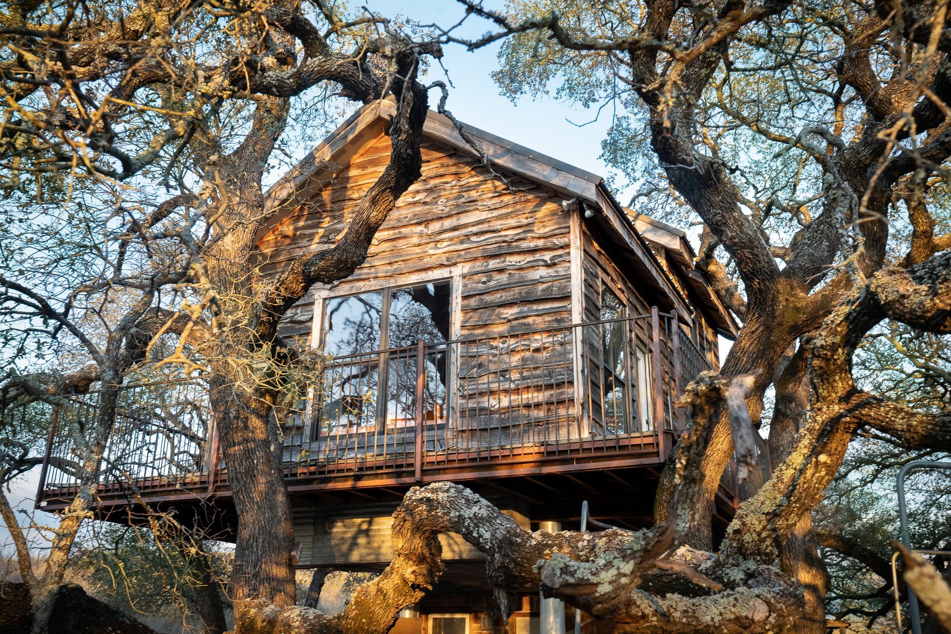 A tree house is sitting in the middle of a forest surrounded by trees.