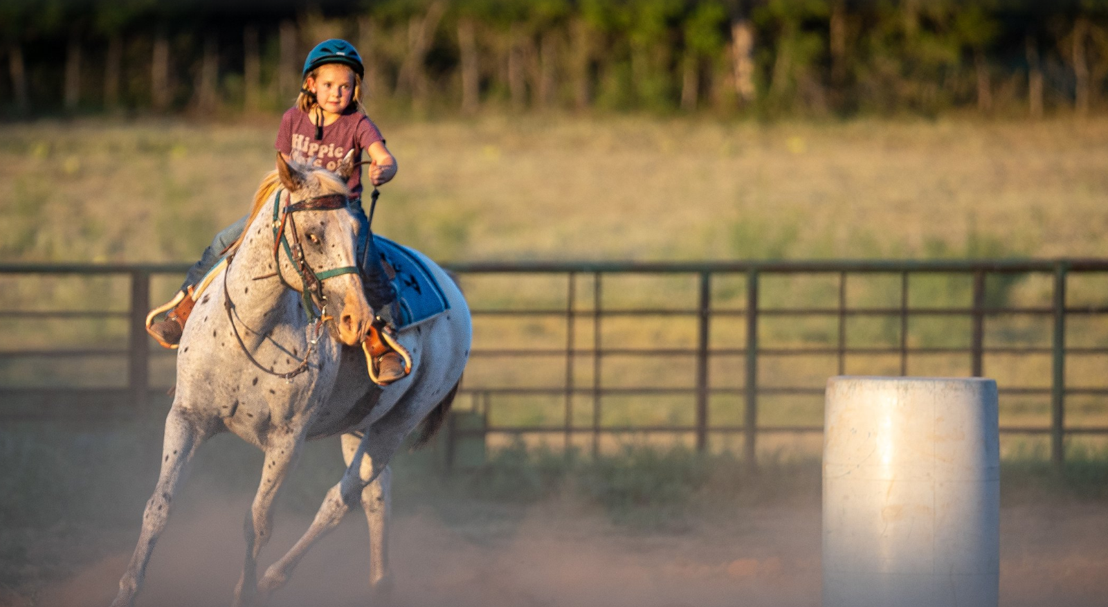 A young girl is riding a horse around a barrel.