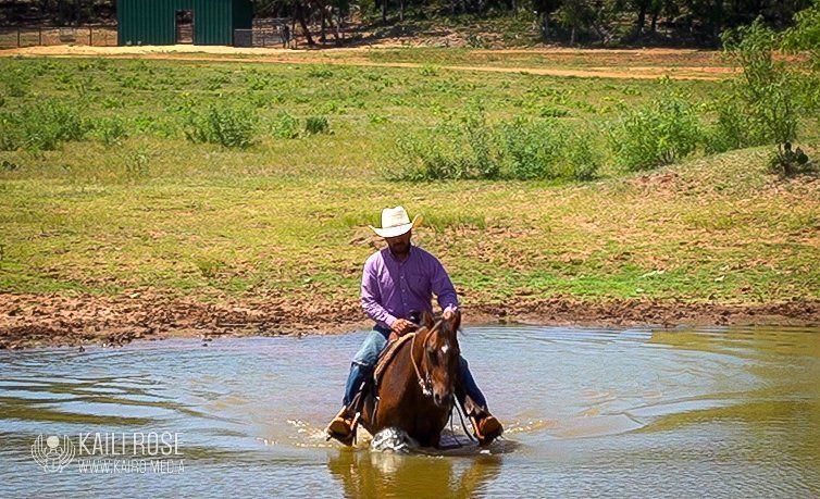 A man is riding a horse in a pond.