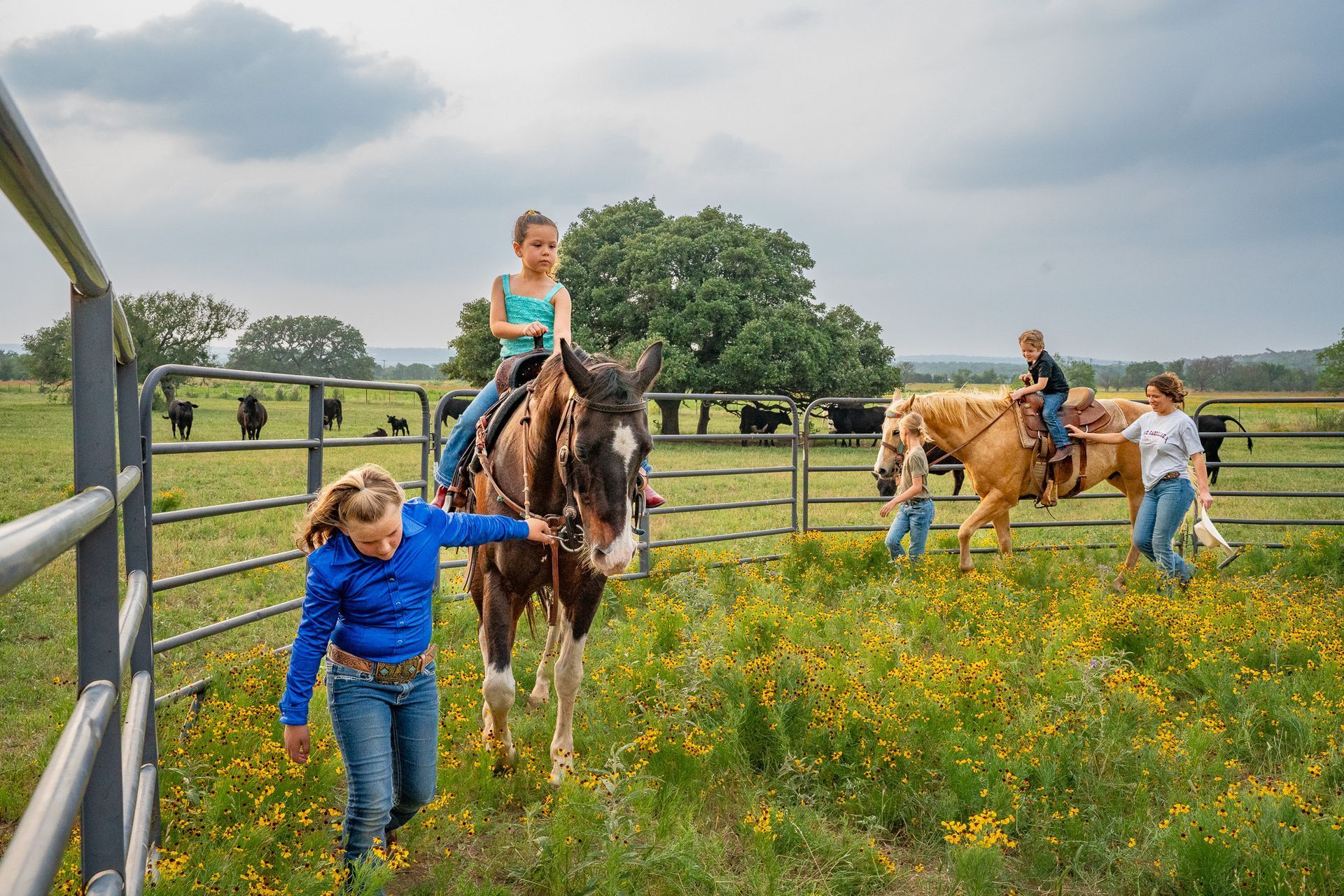 A group of people are riding horses in a field.