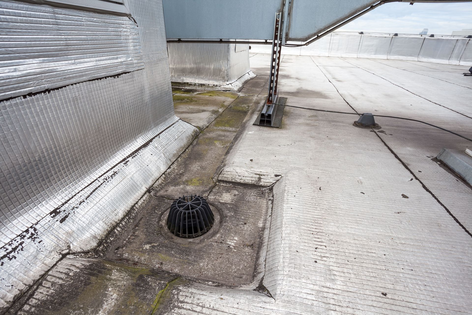 grease trap company