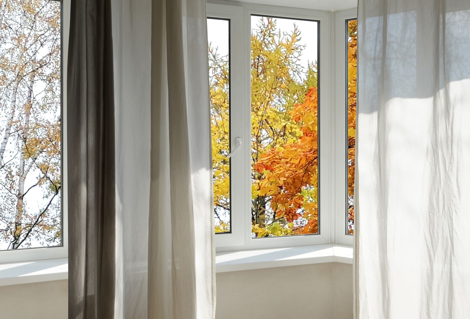 Bright window with white curtains and autumn trees visible outside