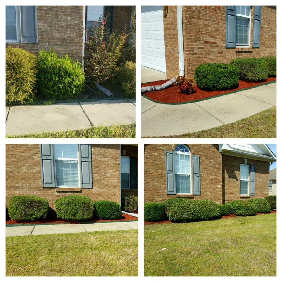 Before and after landscaping