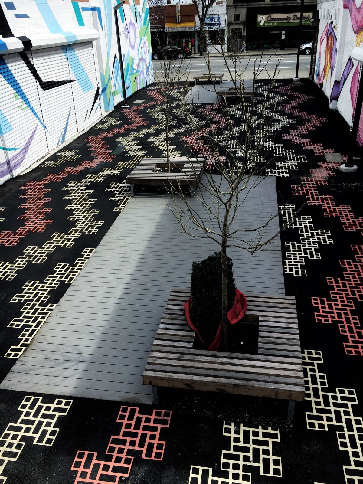 A tree in a pot sits on a wooden bench in front of a wall with graffiti on it