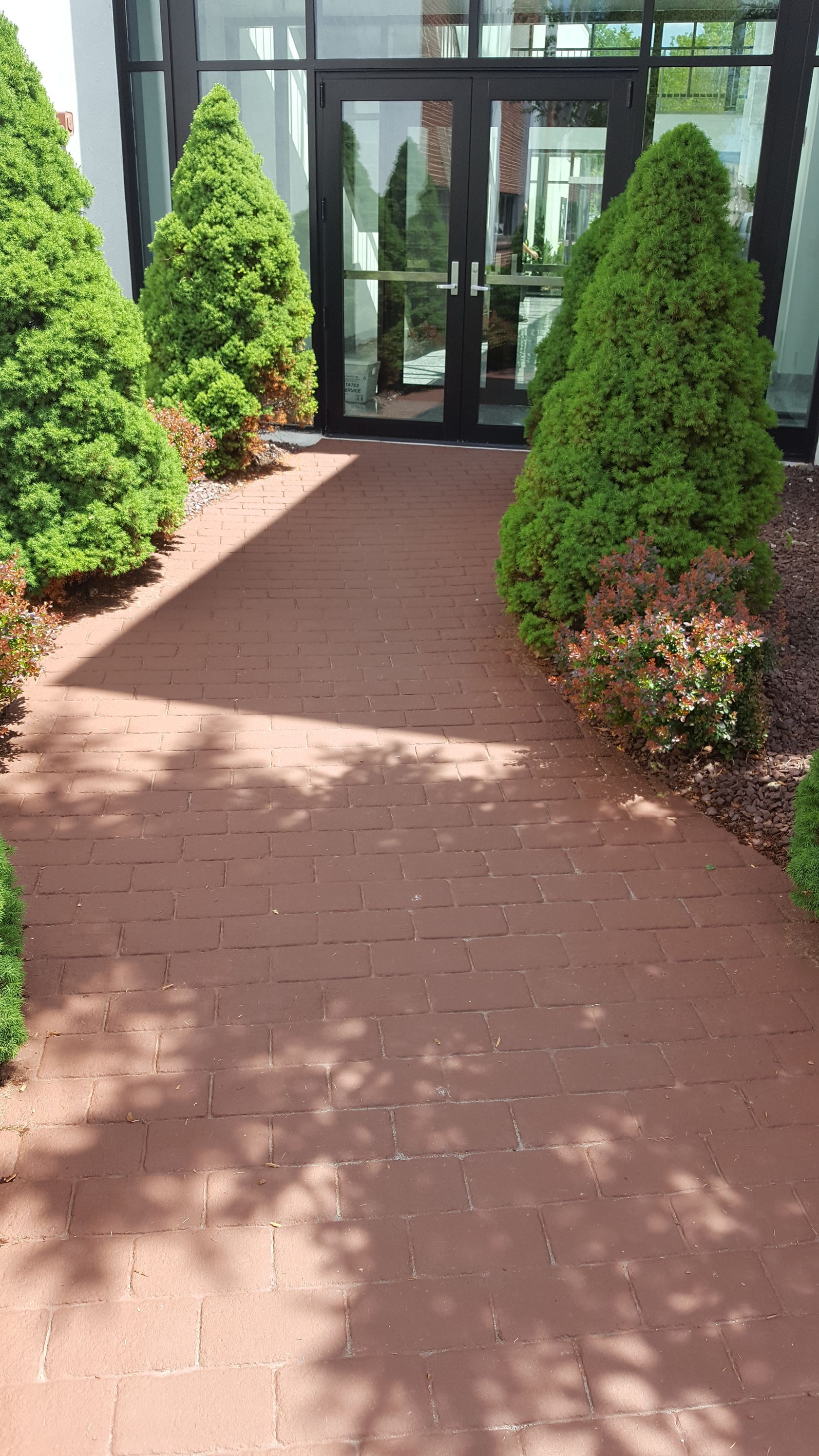 A brick walkway leading to a building with trees and bushes.