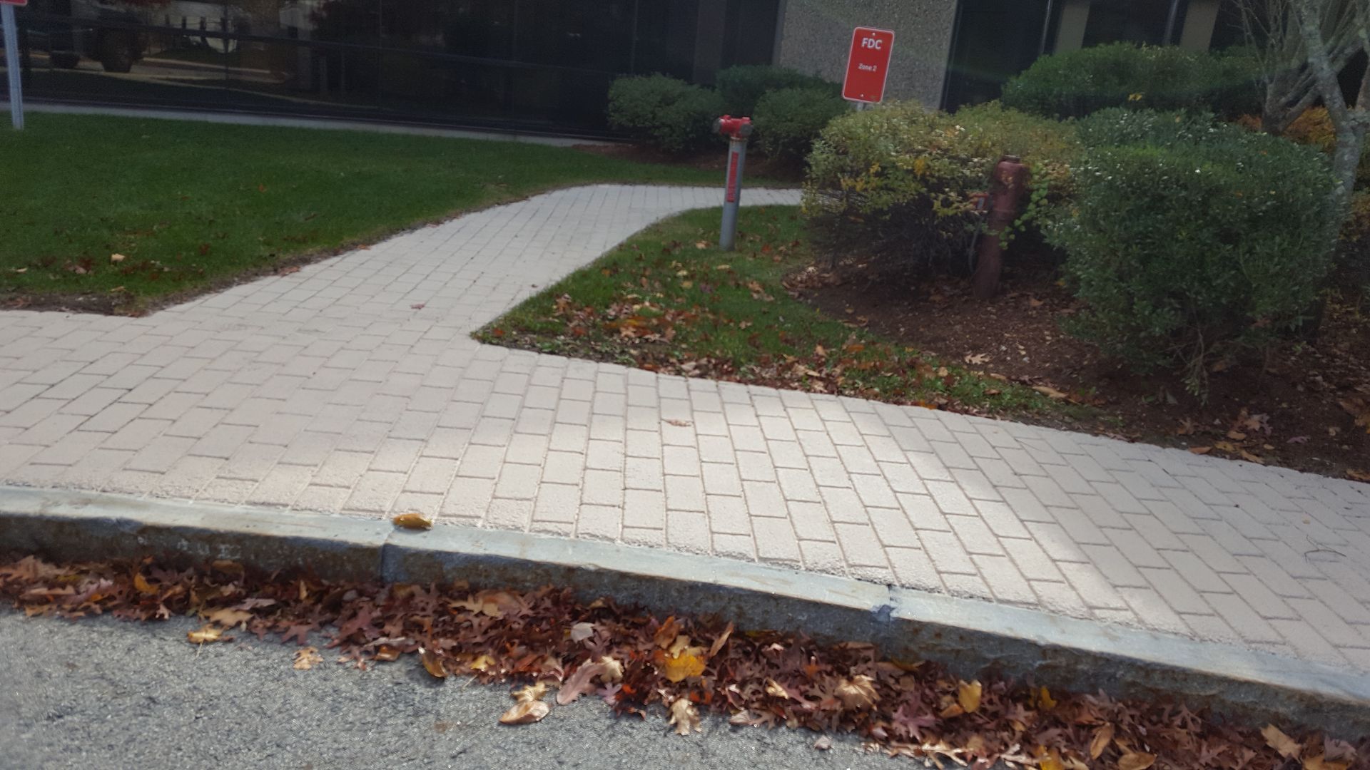 A sidewalk with leaves on the curb and a fire hydrant in the background.