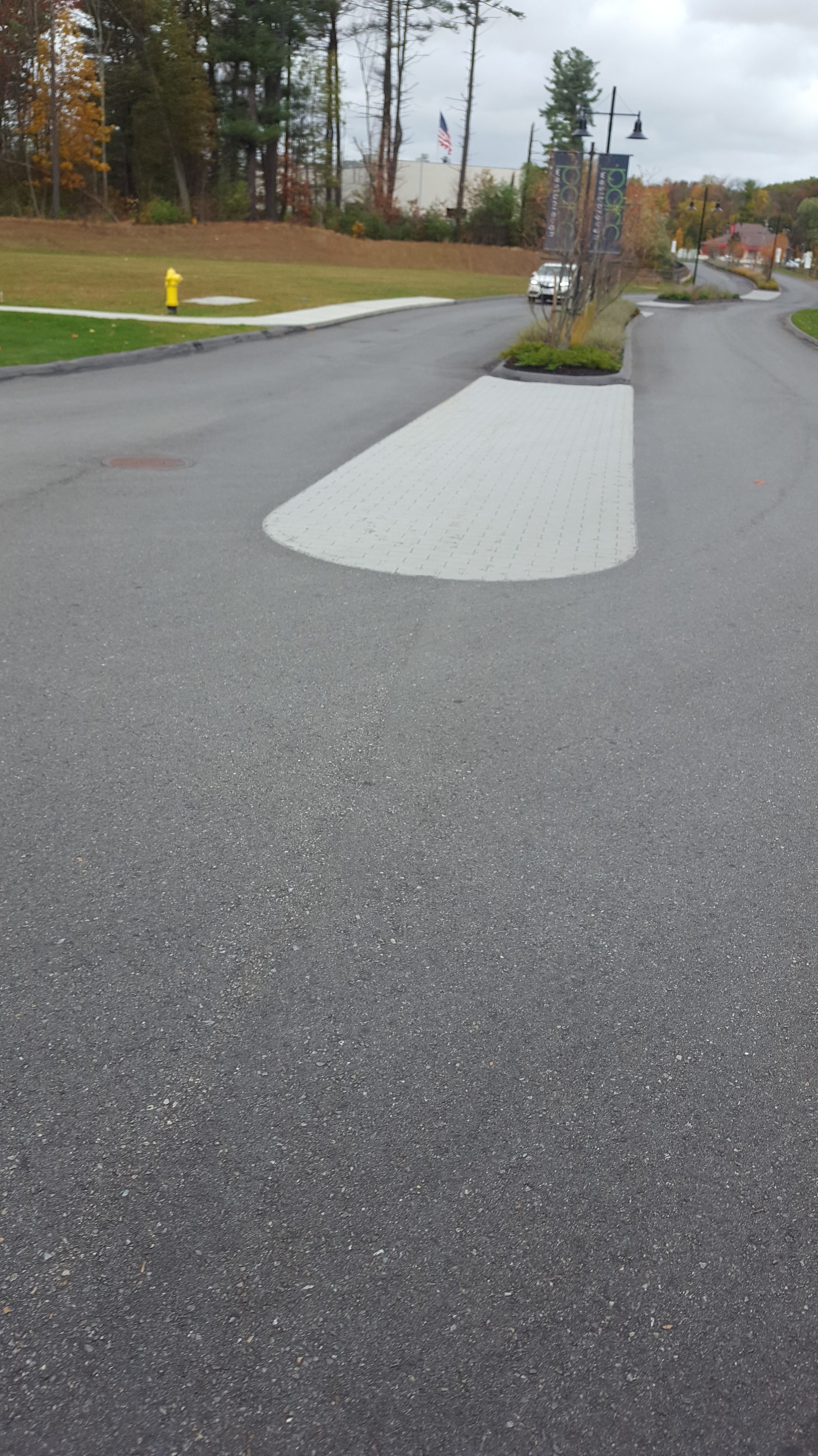 There is a fire hydrant on the side of the road.