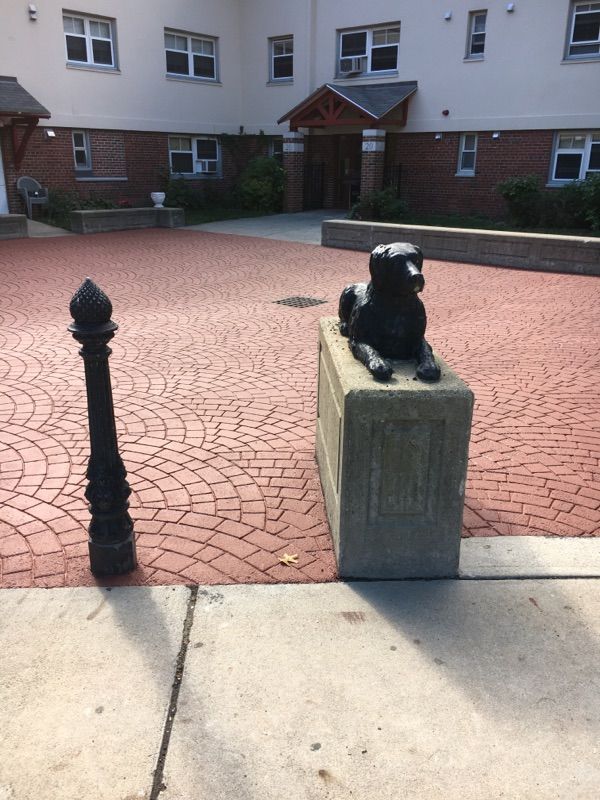 A statue of a dog laying on a block in front of a building
