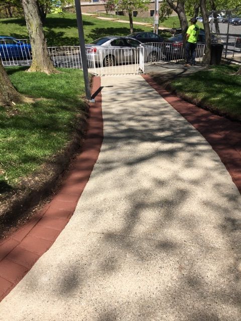 A person is standing on a sidewalk in a park.