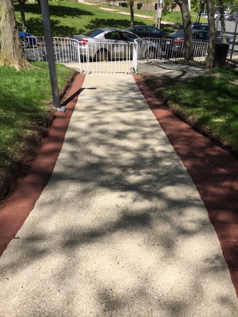 A walkway in a park with cars parked on the side of it.