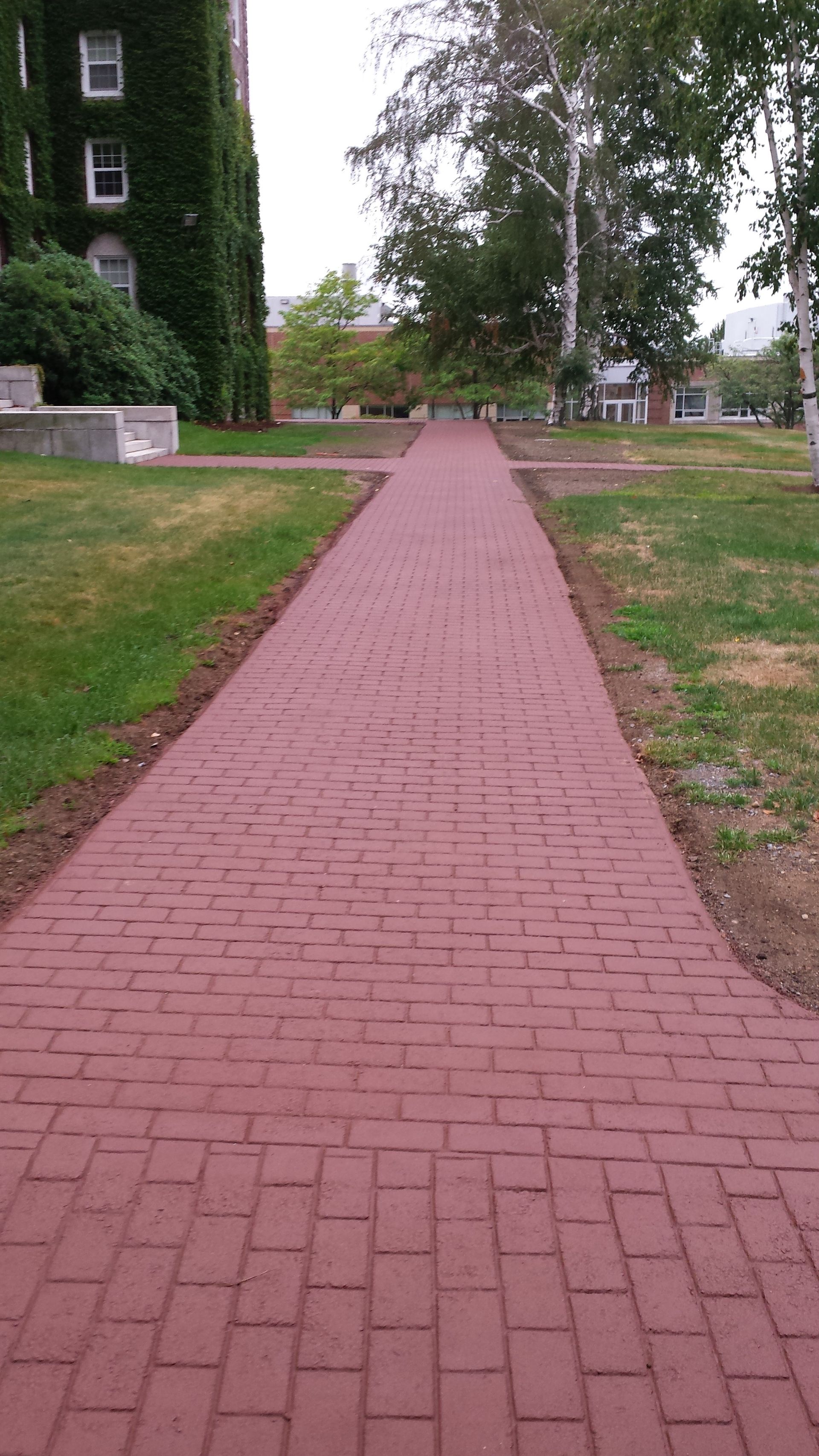 A red brick walkway leading to a building