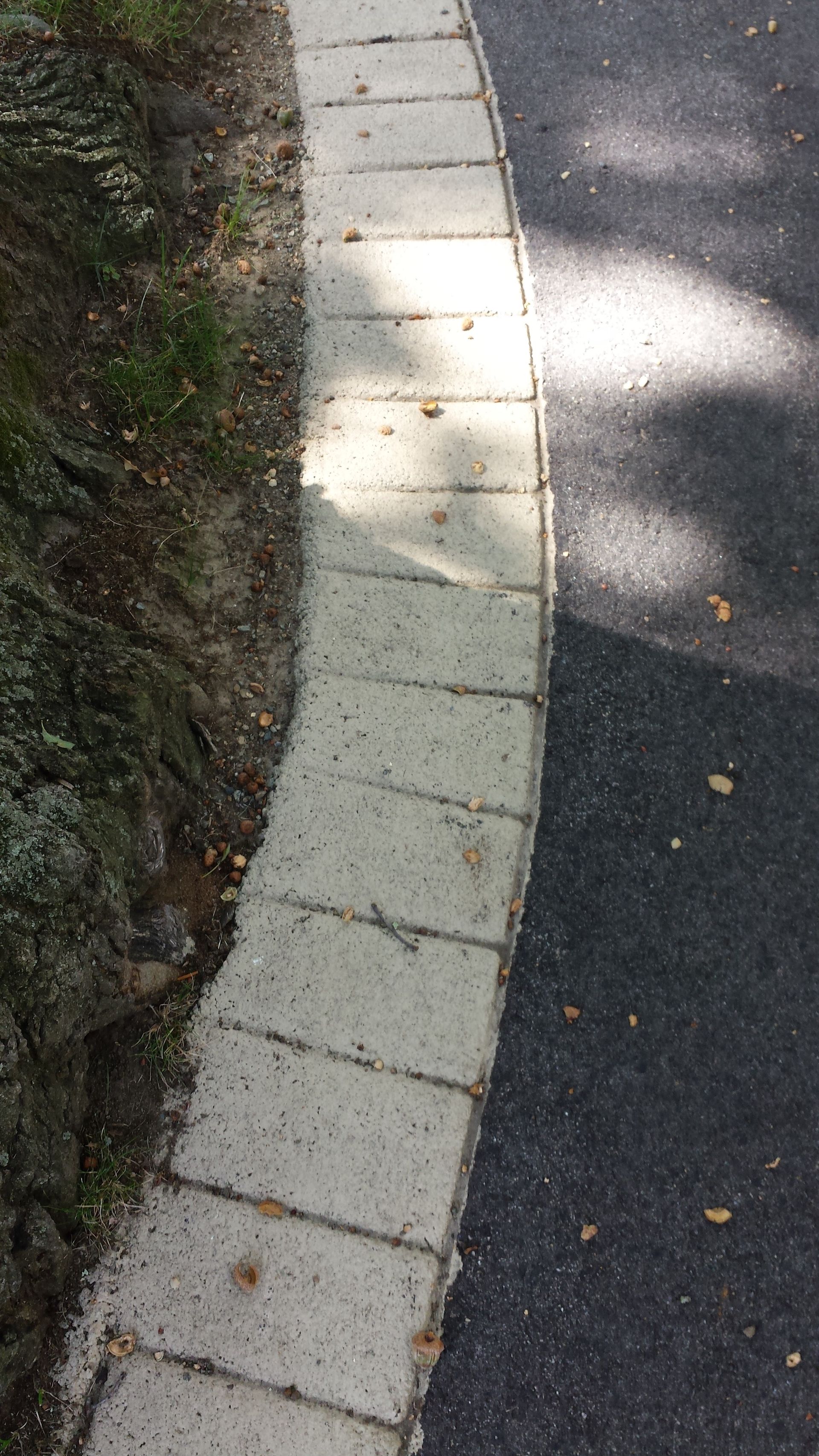A brick walkway along the side of a road.