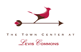 A logo for the town center at lewis commons