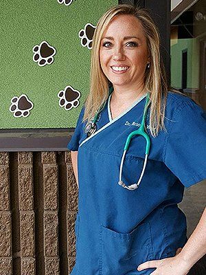 About Our Staff West Toledo Animal Hospital Toledo Oh