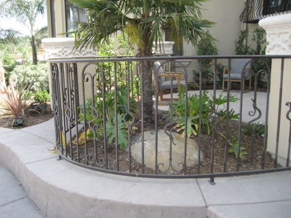 A wrought iron fence with a palm tree in the background
