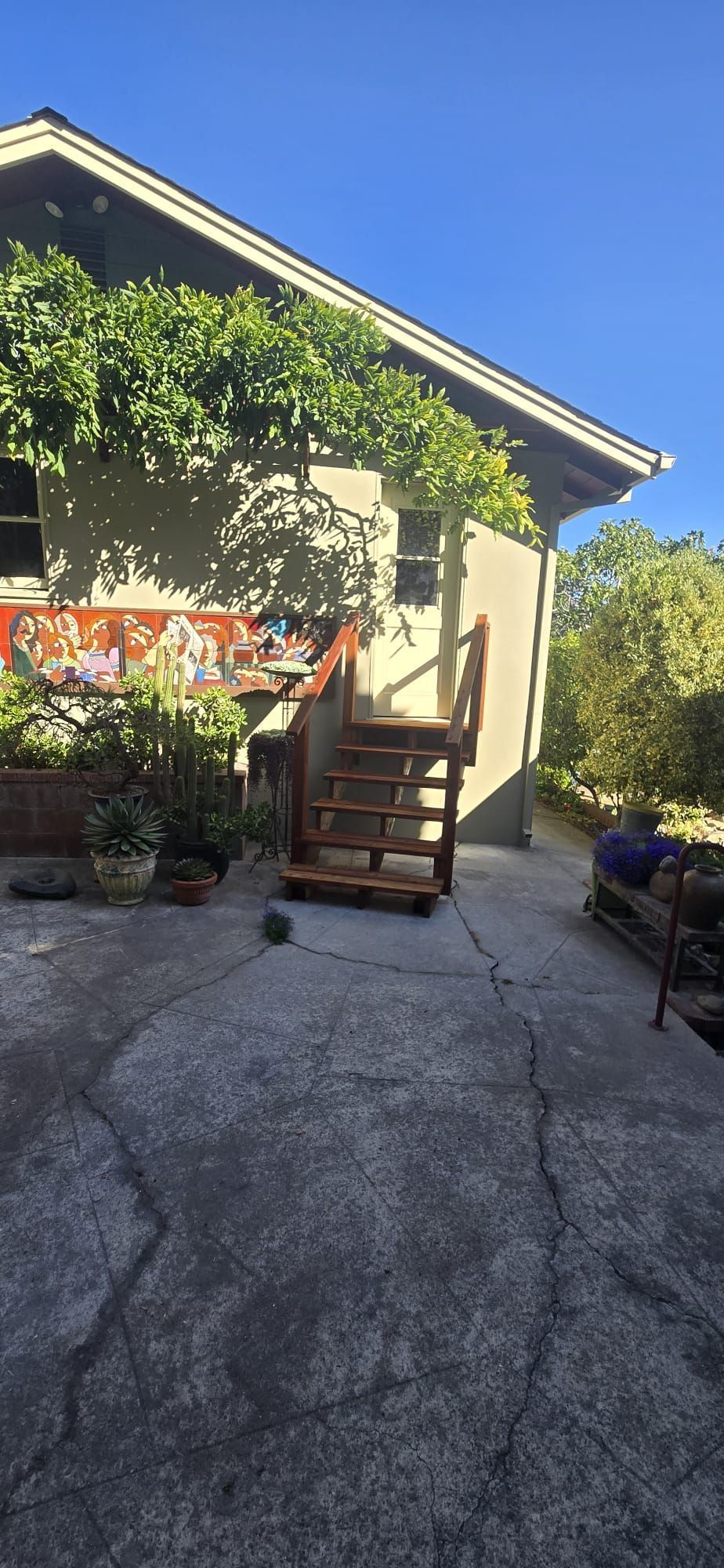 Backyard patio with concrete driveway, wooden steps, potted plants, and house exterior in bright sunlight